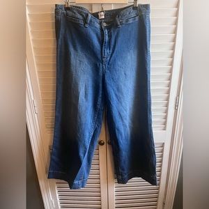 Gap high rise crop wide leg Jean size 14 women’s medium wash